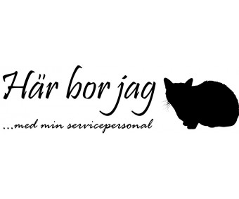 Väggdekal Katt